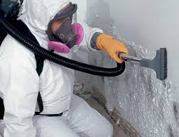 Best Asbestos and Lead Testing During Mold Inspection  in Norwood, OH